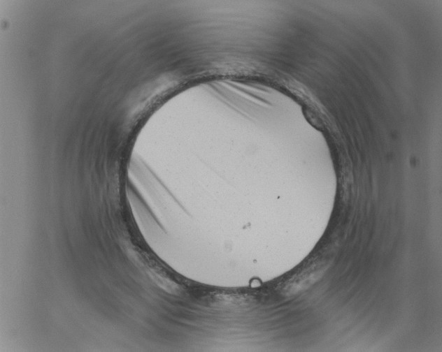 X0000062790442200601121319