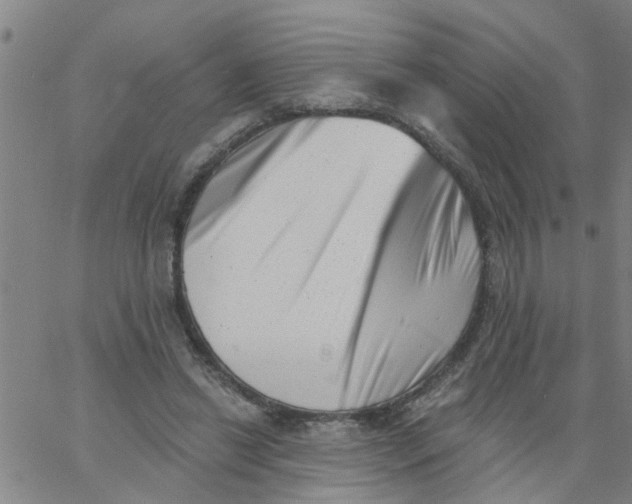 X0000062790446200601121319