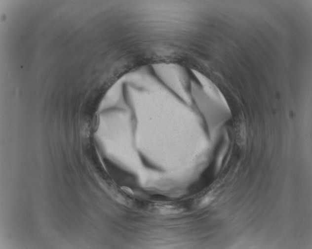 X0000062790472200601121319