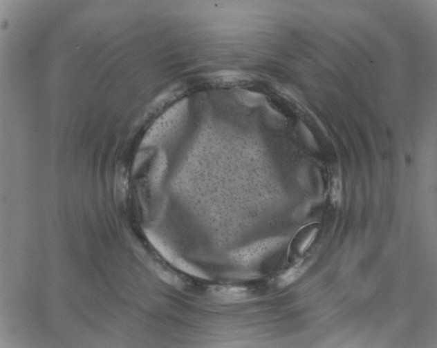 X0000062790476200601121319