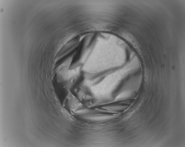X0000062790481200601121318