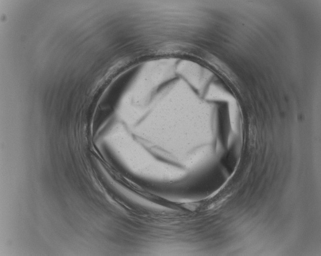 X0000062790485200601121318