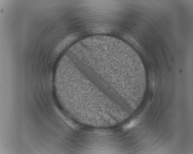 X0000062790490200601121318