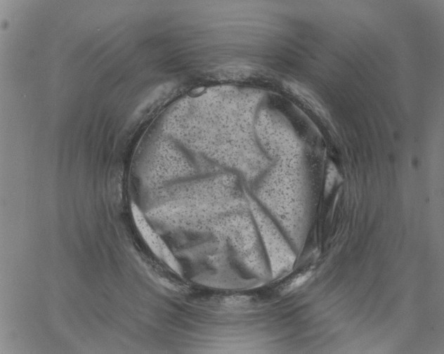 X0000062790501200601121318