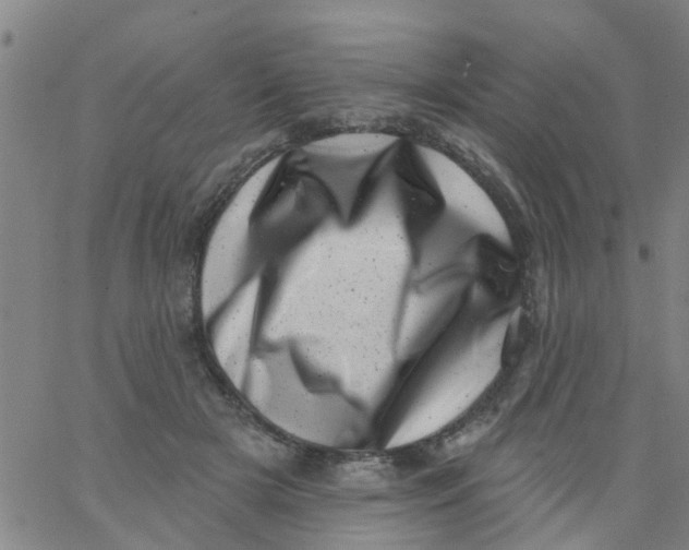 X0000062790505200601121318