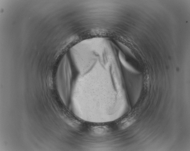 X0000062790508200601121318