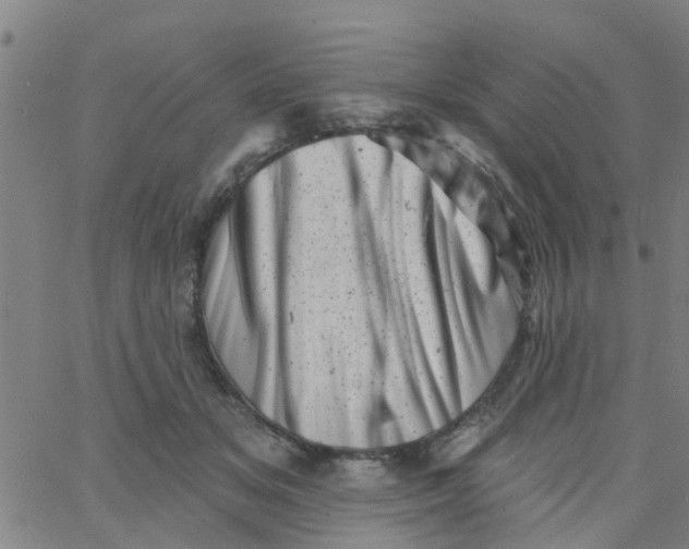 X0000062790509200601121318
