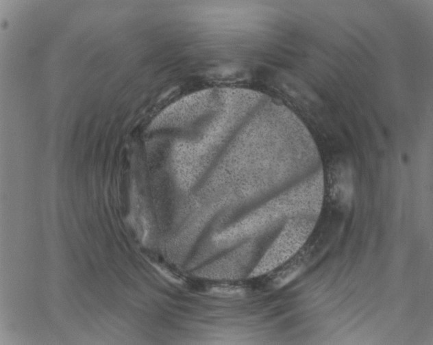 X0000062790515200601121318