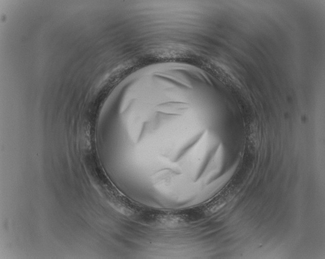 X0000062790547200601121317