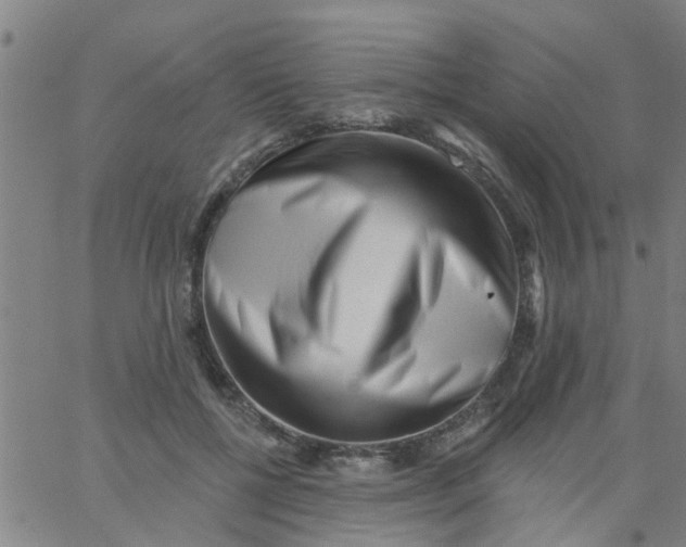 X0000062790552200601121317