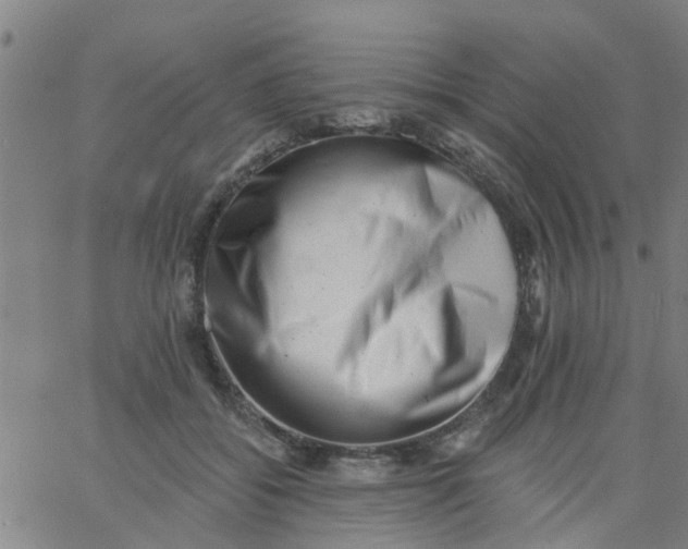 X0000062790556200601121317