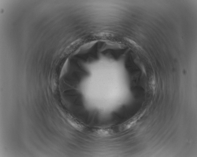 X0000062790566200601121317