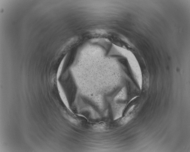 X0000062790574200601121317