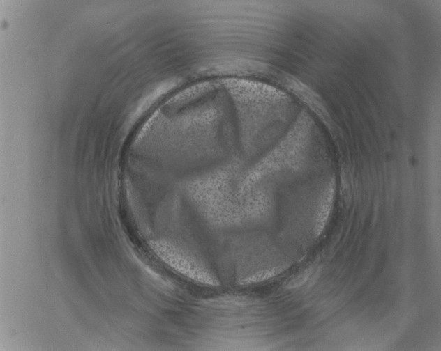 X0000062790578200601121317