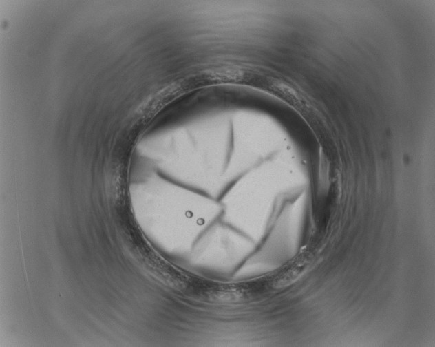 X0000062790600200601121316