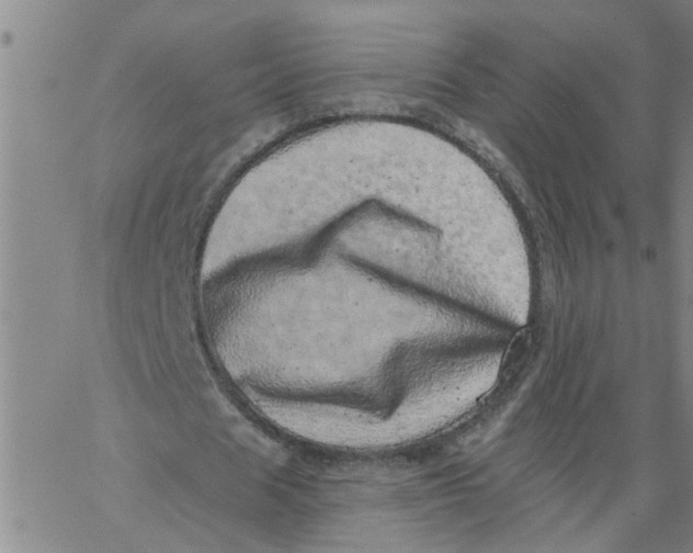 X0000062790625200601121315