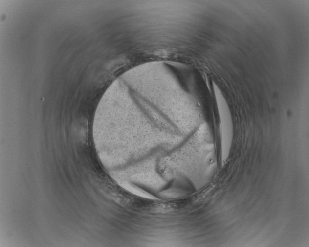 X0000062790656200601121316