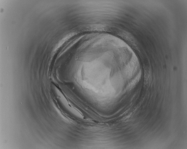 X0000062790674200601121315
