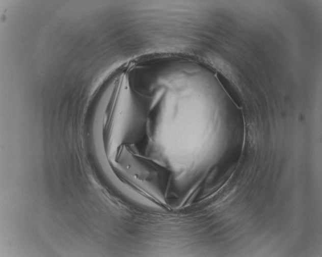 X0000062790676200601121315