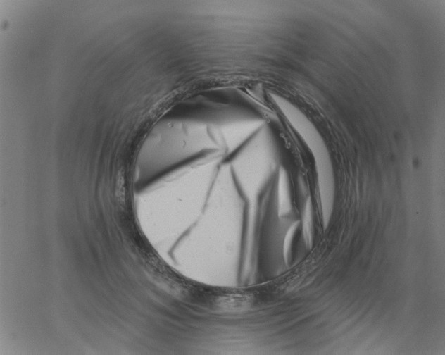 X0000062790700200601121315