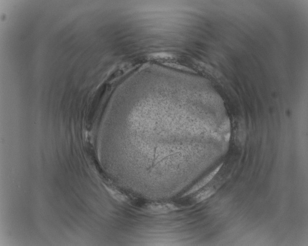 X0000062790712200601121314