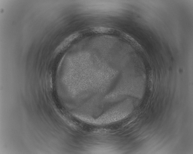 X0000062790734200601121314