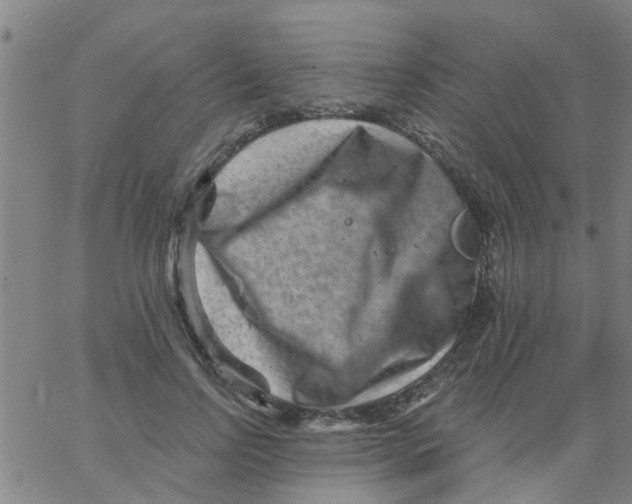 X0000062790742200601121314