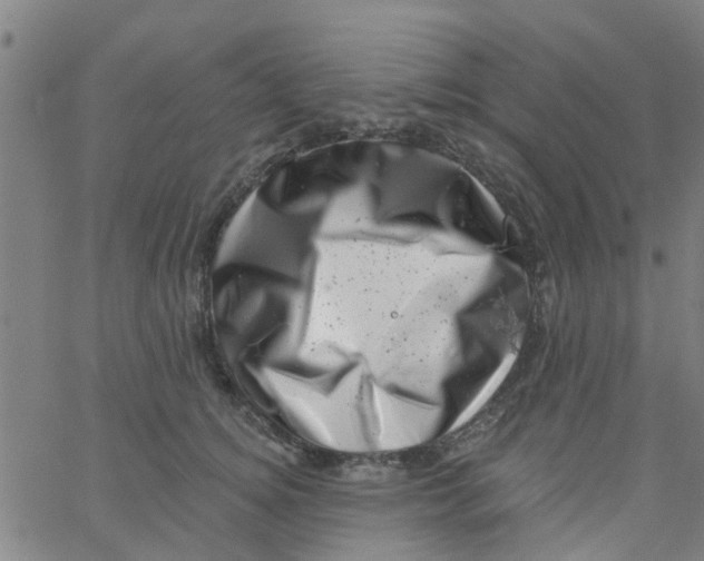 X0000062790756200601121314
