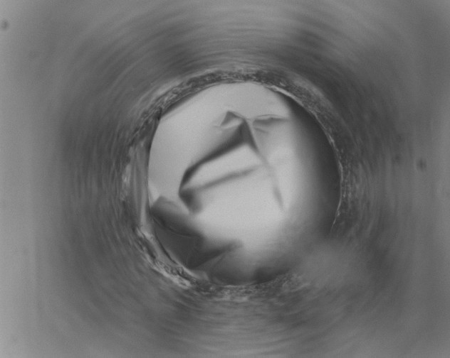 X0000062790773200601121313