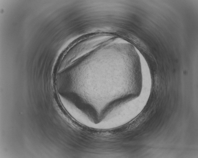 X0000062790784200601121313