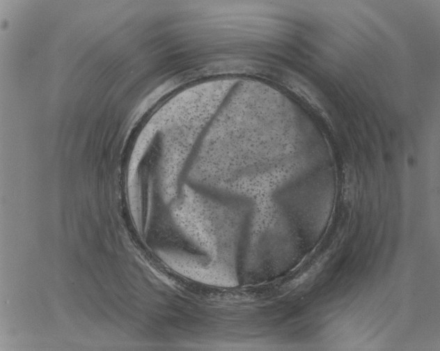 X0000062790786200601121313