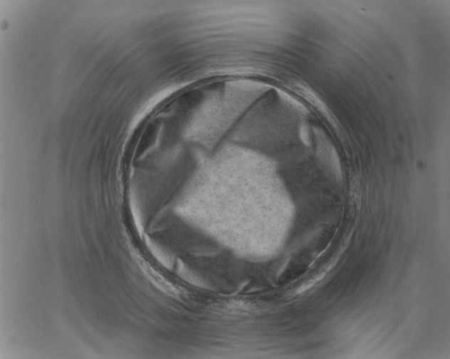 X0000062790787200601121313