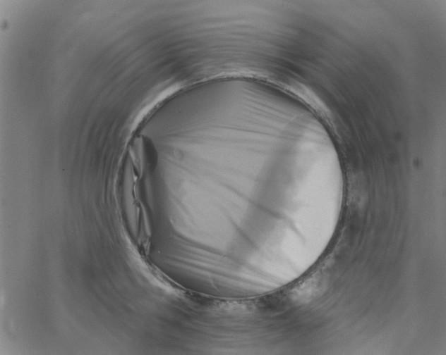 X0000062790806200601121313