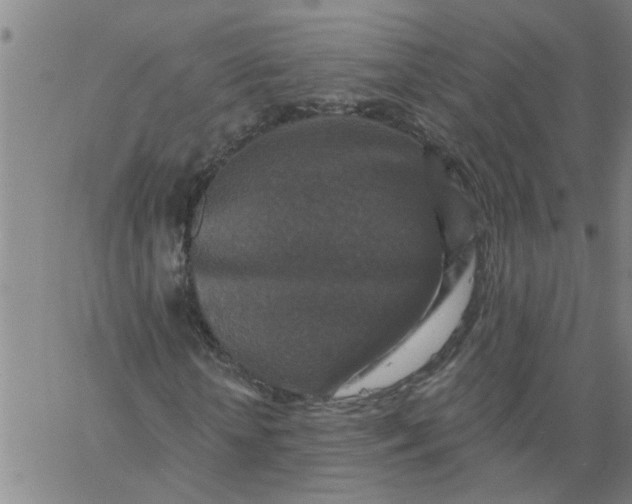 X0000062790818200601121312