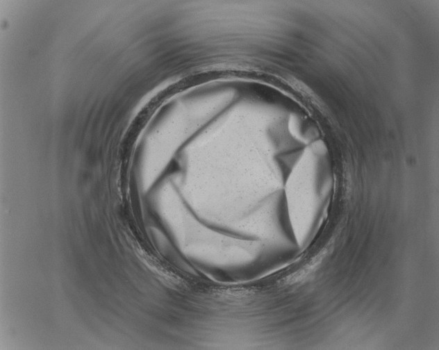 X0000062790830200601121312