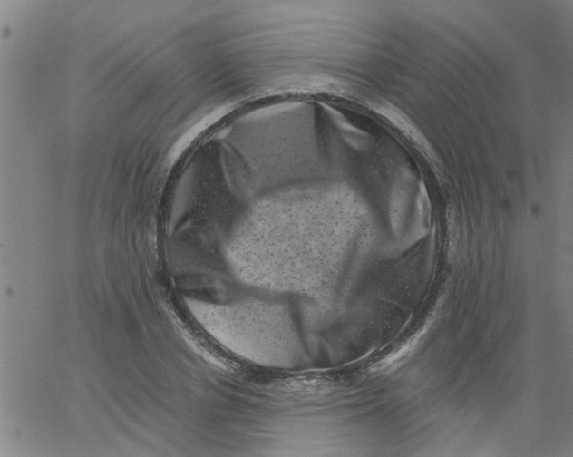 X0000062790834200601121312