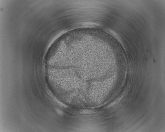 X0000062790835200601121312