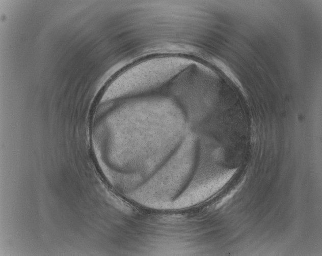 X0000062790837200601121312