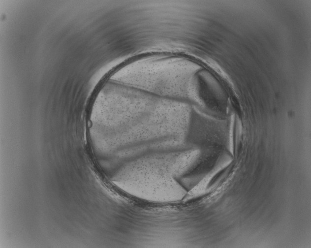 X0000062790838200601121312