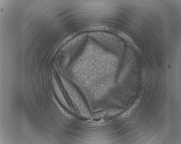 X0000062790841200601121312