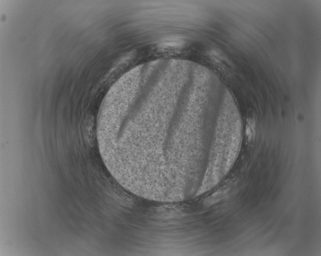 X0000062790867200601121312