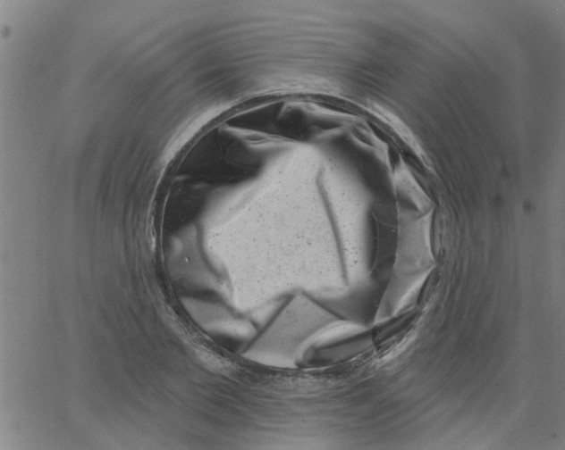X0000062790885200601121312