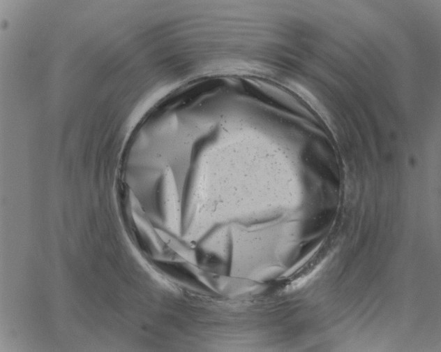 X0000062790901200601121311