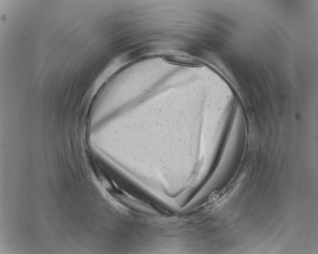 X0000062790909200601121311