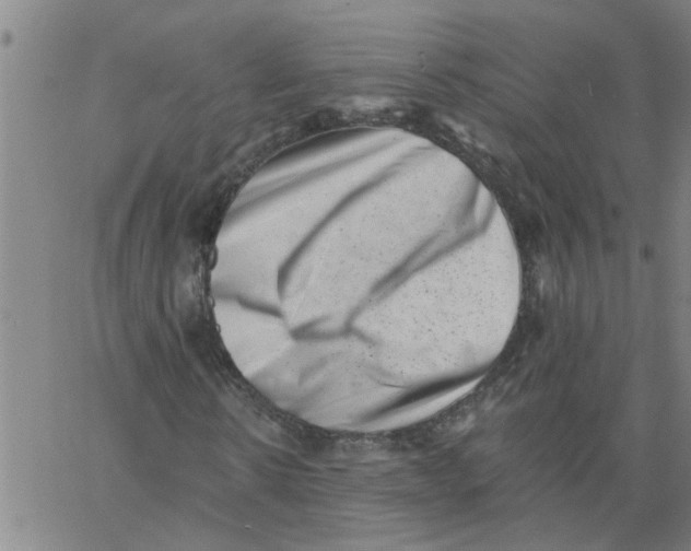 X0000062790914200601121310