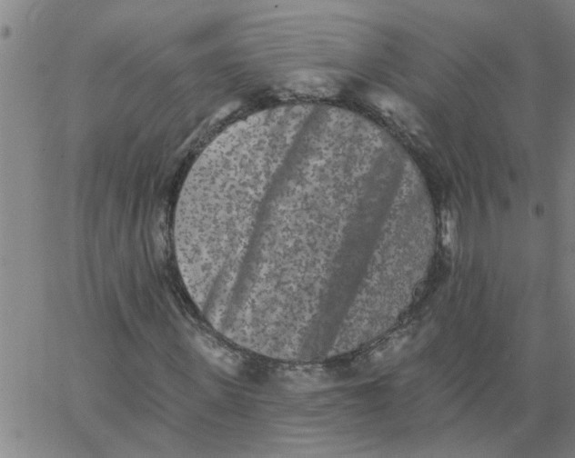 X0000062790915200601121310