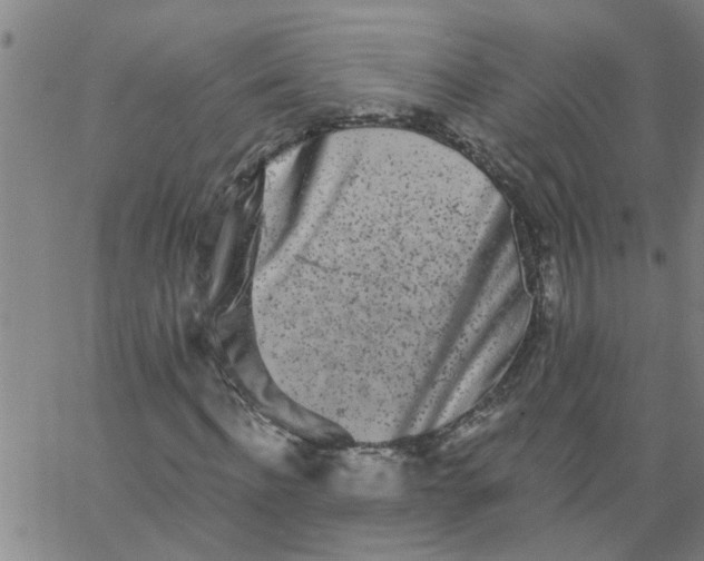 X0000062790916200601121310