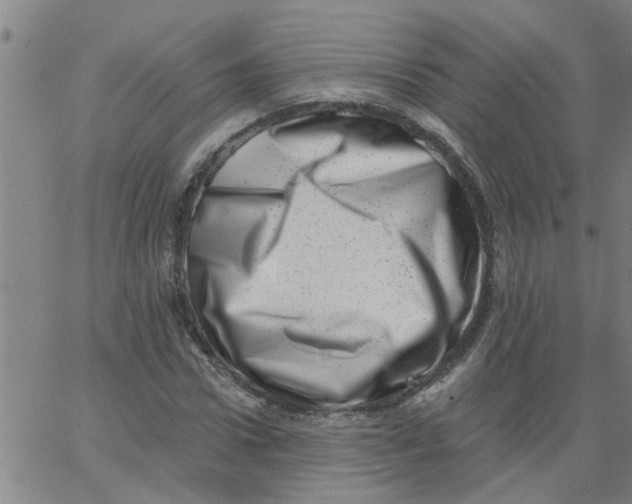 X0000062790922200601121310
