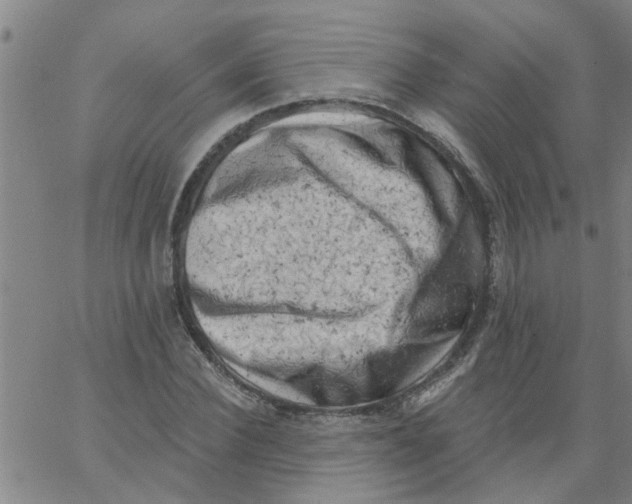 X0000062790924200601121311