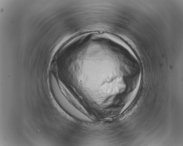 X0000062790949200601121311